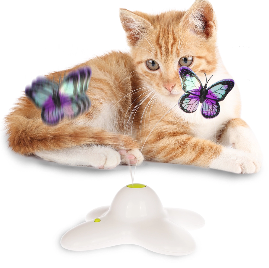 Wholesale Interactive Electric Butterfly Teaser Scratching Pet Cat Toy