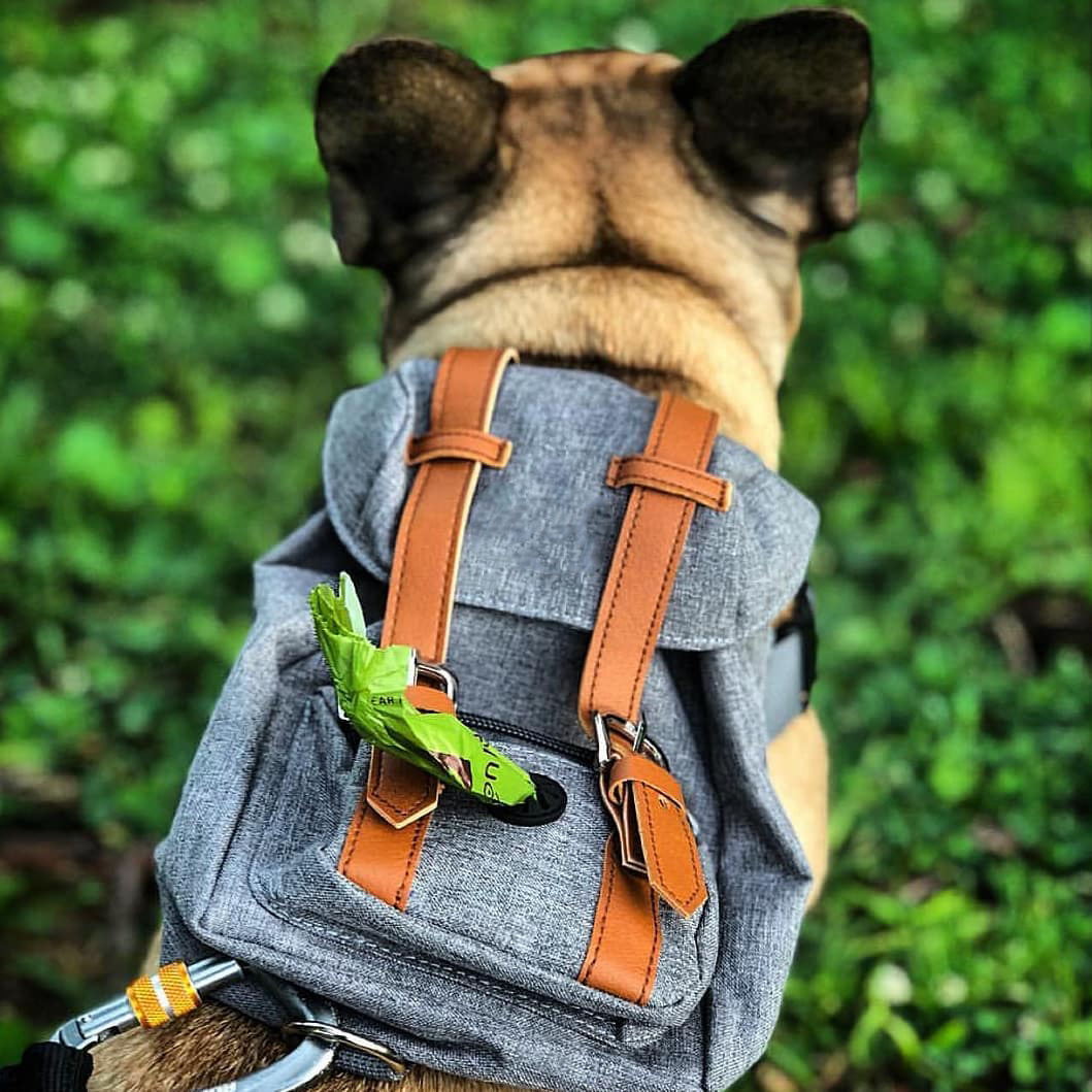 Multi-functional backpack for dogs poop bag holder bag