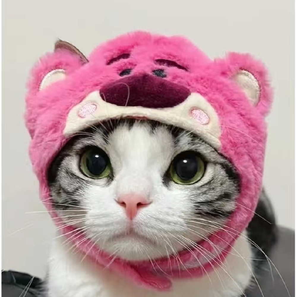 2022 Hot Selling Pet Hat Warm Cute Winter Hat for Dogs Cats Pet Accessories