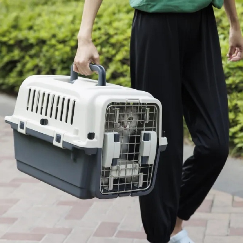 Hot Selling Travel Portable Plastic Pet Outdoor Transport Airline Crates Air Box For Cats And Dogs