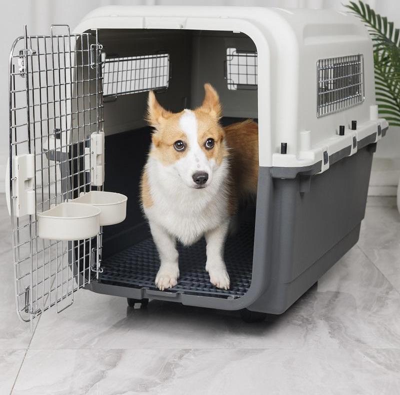 Outdoor Airline Approved Wire Door Travel Carrier X-large Small Durable Portable Plastic Dog Kennel For Pet