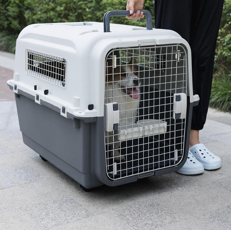 Outdoor Airline Approved Wire Door Travel Carrier X-large Small Durable Portable Plastic Dog Kennel For Pet