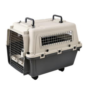 High Quality Travel Pet Consignment Box Ventilation Plastic Large Aviation Dog Crate