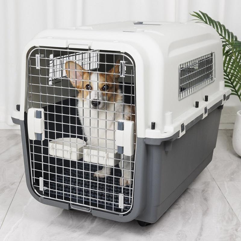 Outdoor Airline Approved Wire Door Travel Carrier X-large Small Durable Portable Plastic Dog Kennel For Pet