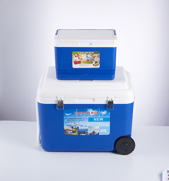 11L+5L Wholesale Portable Plastic Ice Cooler Box For Picnic Beverage And Food