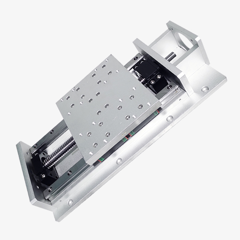 High precision heavy duty linear slide 25mm ball screw Linear guide rail electric high load CNC module lift LYKR250A