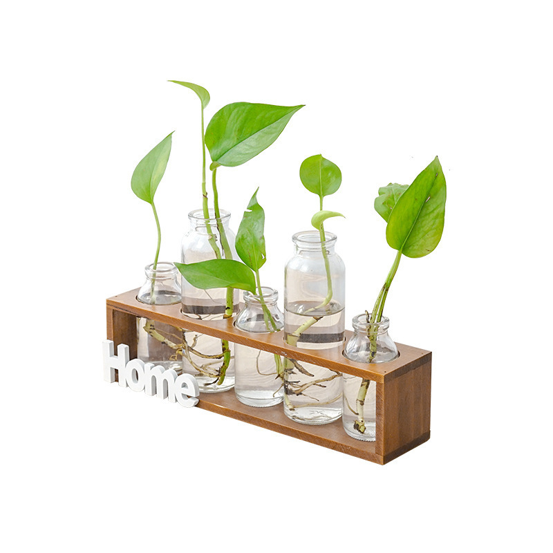 ins simple wooden hydroponic glass vase hydroponic plants transparent flower arrangement living room home decoration ornaments