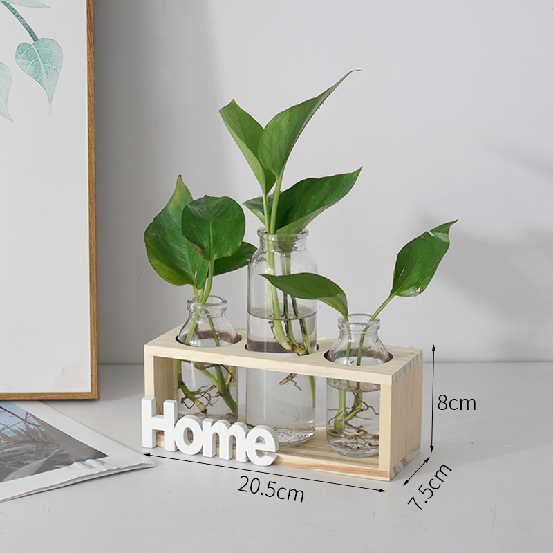 ins simple wooden hydroponic glass vase hydroponic plants transparent flower arrangement living room home decoration ornaments