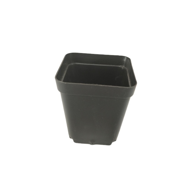 Factory Price Small 55MM Plastic PP Square Succculent Plant Nursery Pot