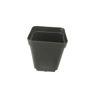 Factory Price Small 55MM Plastic PP Square Succculent Plant Nursery Pot