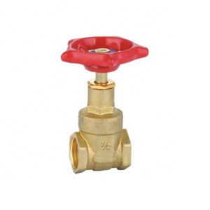 1 inch Pegler type brass gate valve for water