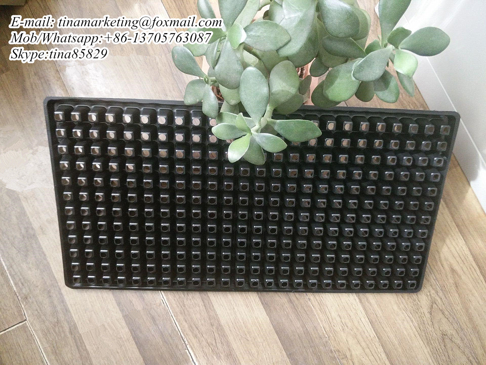 Blister Plastic Plant Plug Nursery Seed Starter Tray 288 Cell Vegetable Seedling Propagation Germination Tray