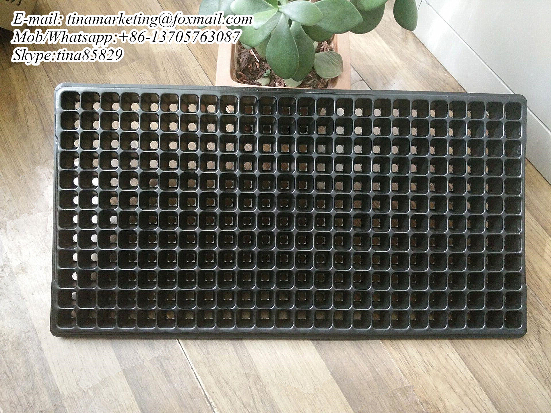 Blister Plastic Plant Plug Nursery Seed Starter Tray 288 Cell Vegetable Seedling Propagation Germination Tray