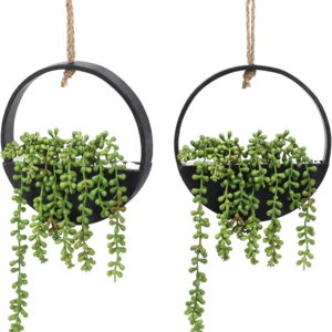 2pcs Hanging Plants Fake String of Pearls in Pot with Lanyard  Indoor Outdoor Plastic Boho Wall Decor