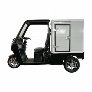 New Hot Selling Electrical Transport Vehicles  /Electric 3 wheel scooter/electric van  with EEC