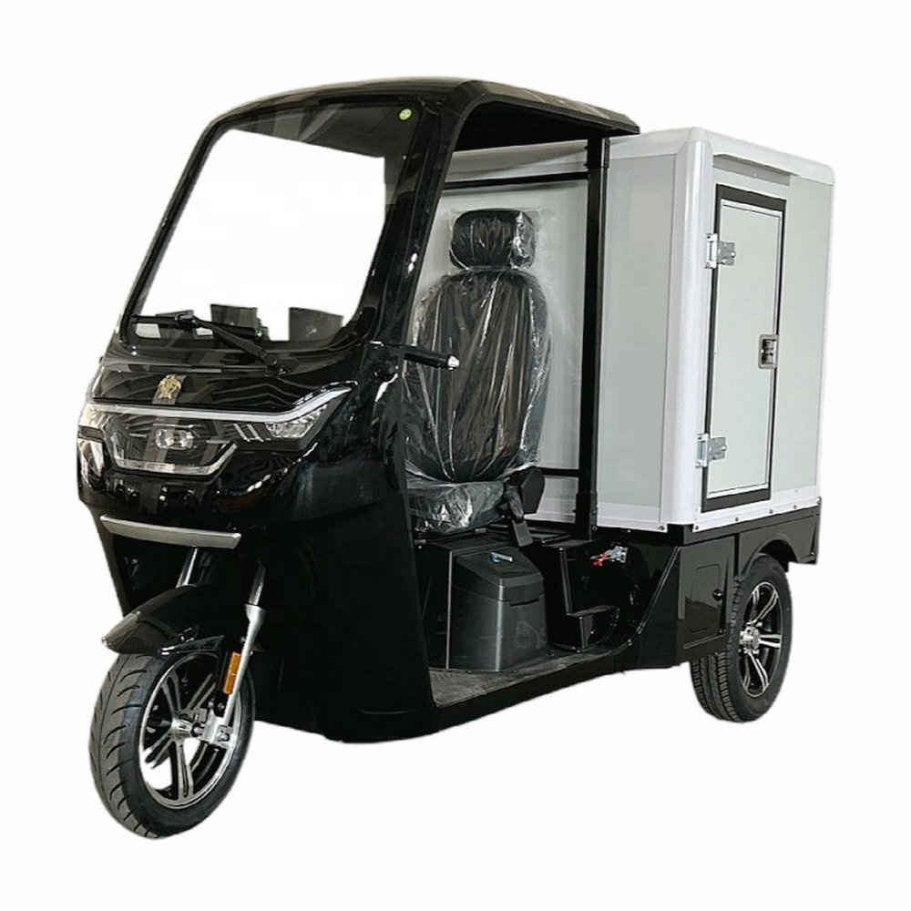 New Hot Selling Electrical Transport Vehicles  /Electric 3 wheel scooter/electric van  with EEC