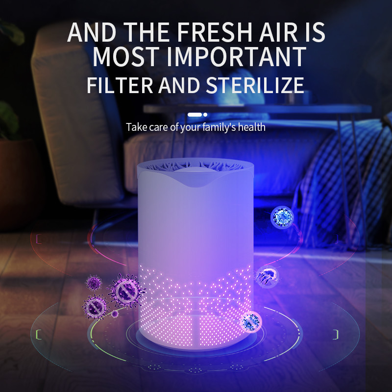 Eliminate Pollen Pet Hair Dander Smoke Dust Odors Airborne Contaminants Air Purifiers for Home