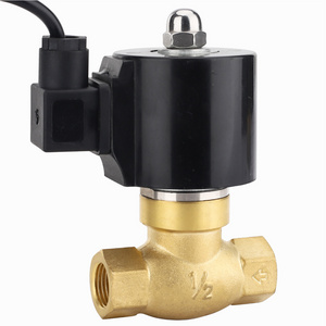 USSLDF Brass high temperature underwater solenoid valve 1/ 2in AC110V ~ 220V / DC24V ~ 12V