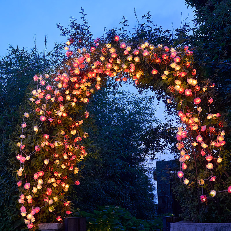 14.7 ft Flower Fairy Lights 30 LEDs Flower Lights Room Decor Pink White Rose Flower String Decorations Rose Lights