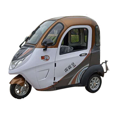 EEC Certificate Electric Tricycle Adult 60V Closed Enclosed Electric Vehicle 3 Wheel Enclosed E Car Bike Enclosed Motorcycle EBU