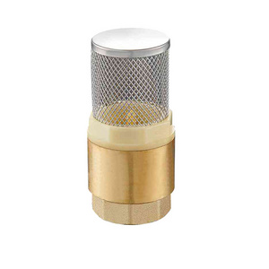 China Manufacturer Brass Spool Brass Spring Check Valve Brass Swing Check Valve With Screen