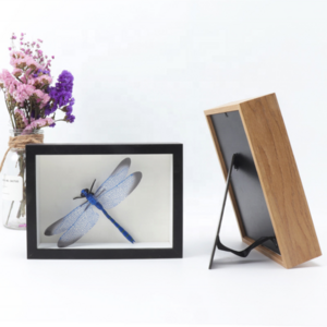 Wholesale 3D Deep Glass MDF Specimen Photo Frame 5x7,6x8, 8x8 Black Shadow Box Frames