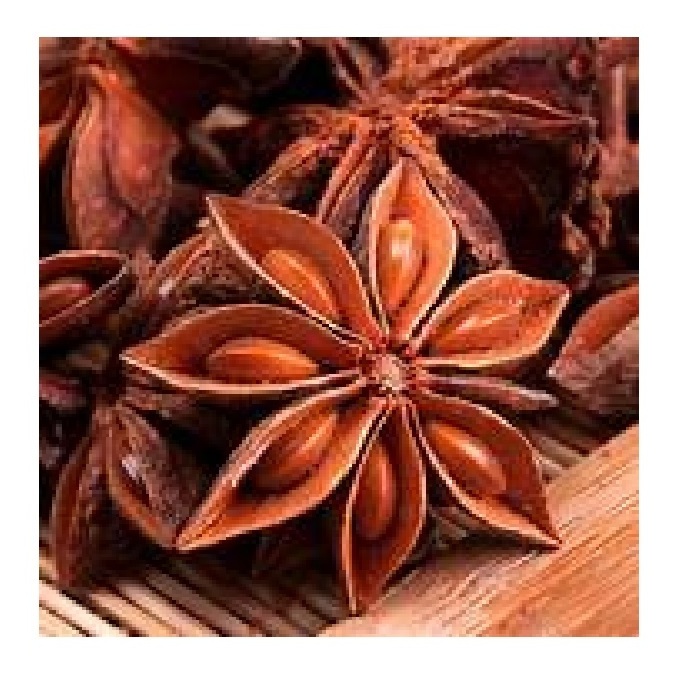 High Quality Ingredients Dried Spices Organic Single Spice And Herb U2U3011-U Athvika Spice Star Arise for Seasoning Cooking