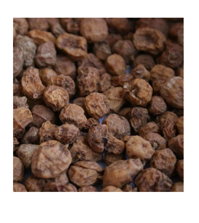 High grade Tiger Nut - Ground Almond Wholesale Natural Fresh Tiger nuts In Low Price Bulk nuts