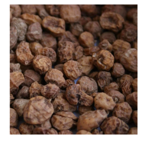 High grade Tiger Nut - Ground Almond Wholesale Natural Fresh Tiger nuts In Low Price Bulk nuts