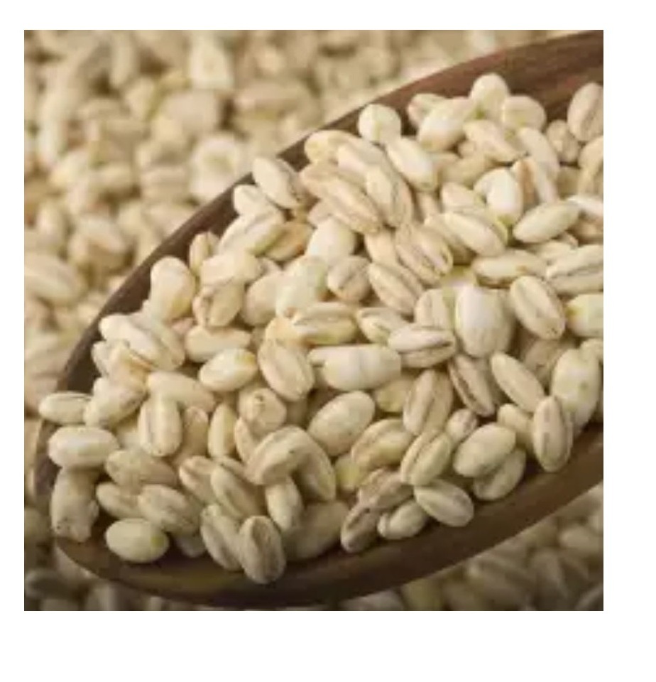 Best Selling Barley Grains Premium Barley Seeds/Animal feed barley/bulk barley grains Malted Barley Malt grain for sale