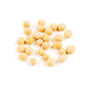 Yellow Peas At Best Market Prices