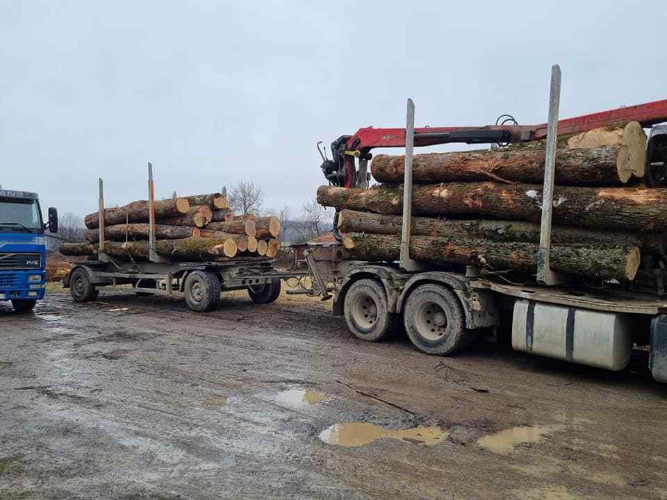 eucalyptus timber wood logs/crude wood Pine and Oak Teak Wood Logs, Timber, wood Sawn Timber