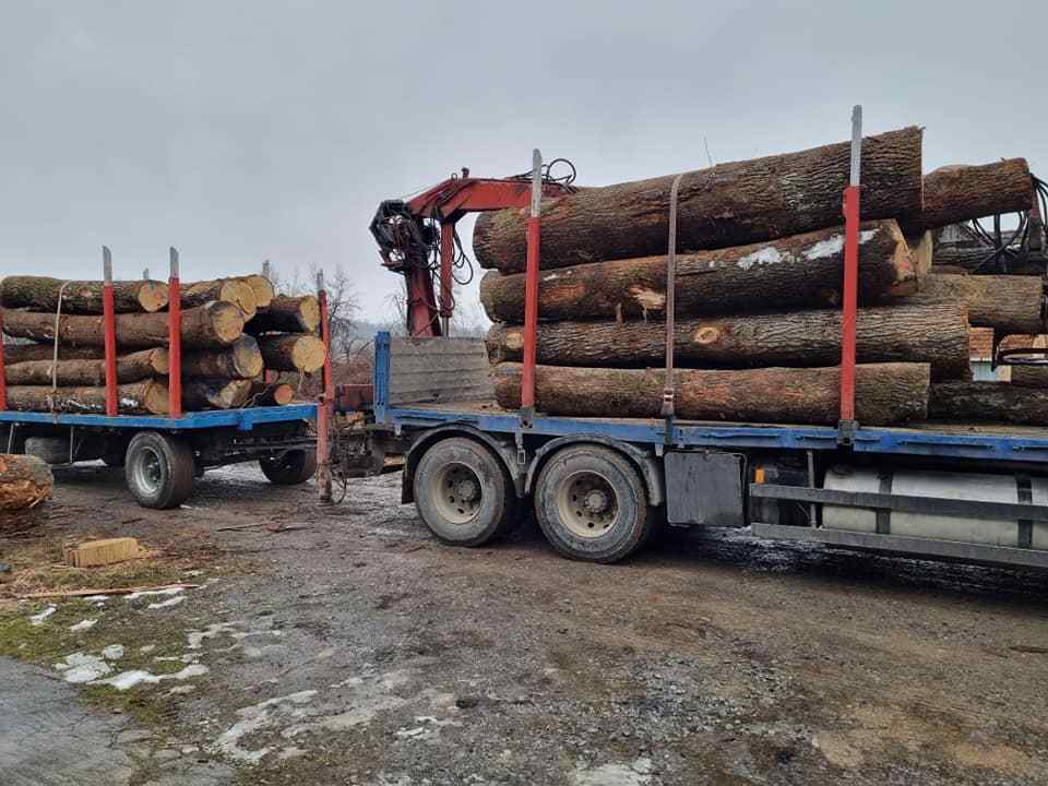 eucalyptus timber wood logs/crude wood Pine and Oak Teak Wood Logs, Timber, wood Sawn Timber