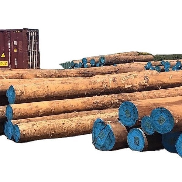 HOT SALES EUCALYPTUS LOGS FRESH CUT EUCALYPTUS LOGS FRESH CUT AMAZON EUCALYPTUS LOGS FOR SALE