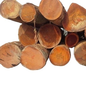 Wooden Log Natural Eucalyptus Wood Logs Large Logs Spruce African Hardwood Eucalyptus Wood