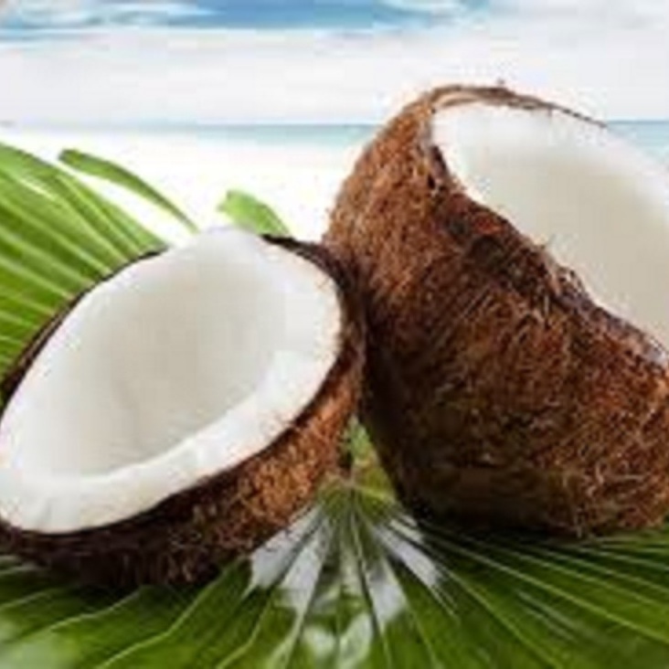 Organic Fresh Young Coconut