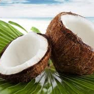 Organic Fresh Young Coconut