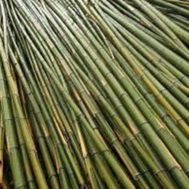 The Most Realistic Looking Artificial Bamboo Poles