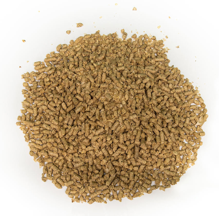 Top Quality Pellets Cotton Seed Hull  Animal Feed for Animal Meal