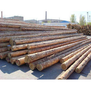 PINE SPRUCE BIRCH OAK ASH LOGS/TIMBER and eucalyptus timber wood logs/crude wood