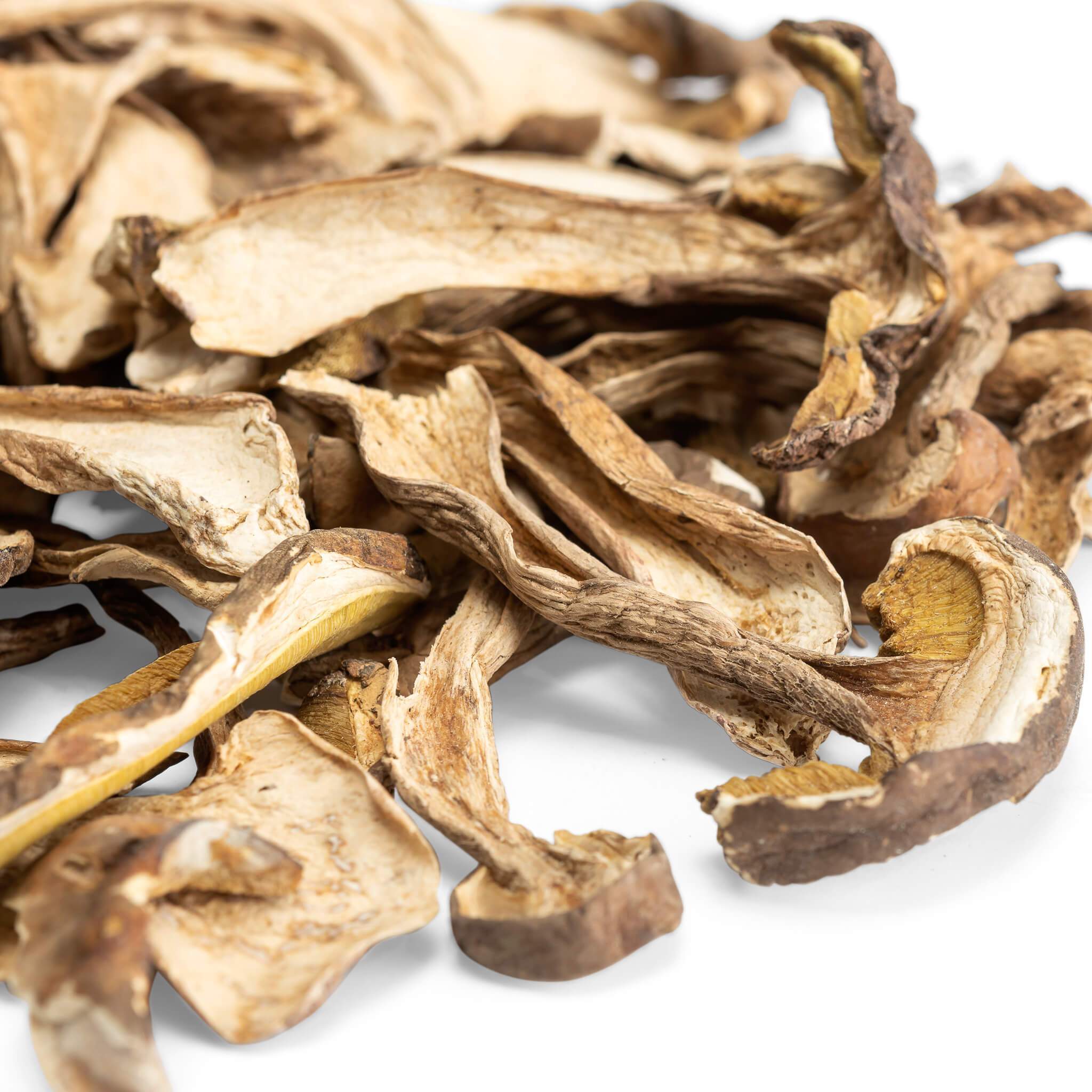 Dried Mushrooms