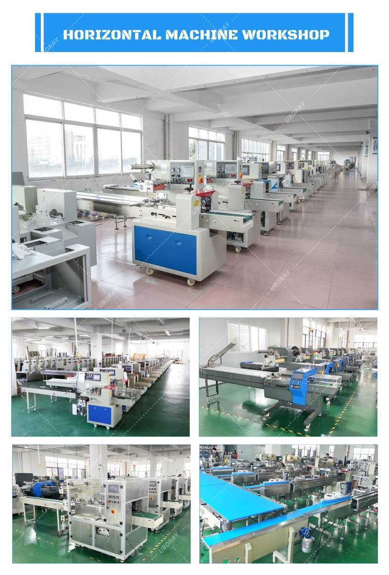 Fully automatic horizontal frozen chicken packaging fresh meat whole chicken pillow packing machine