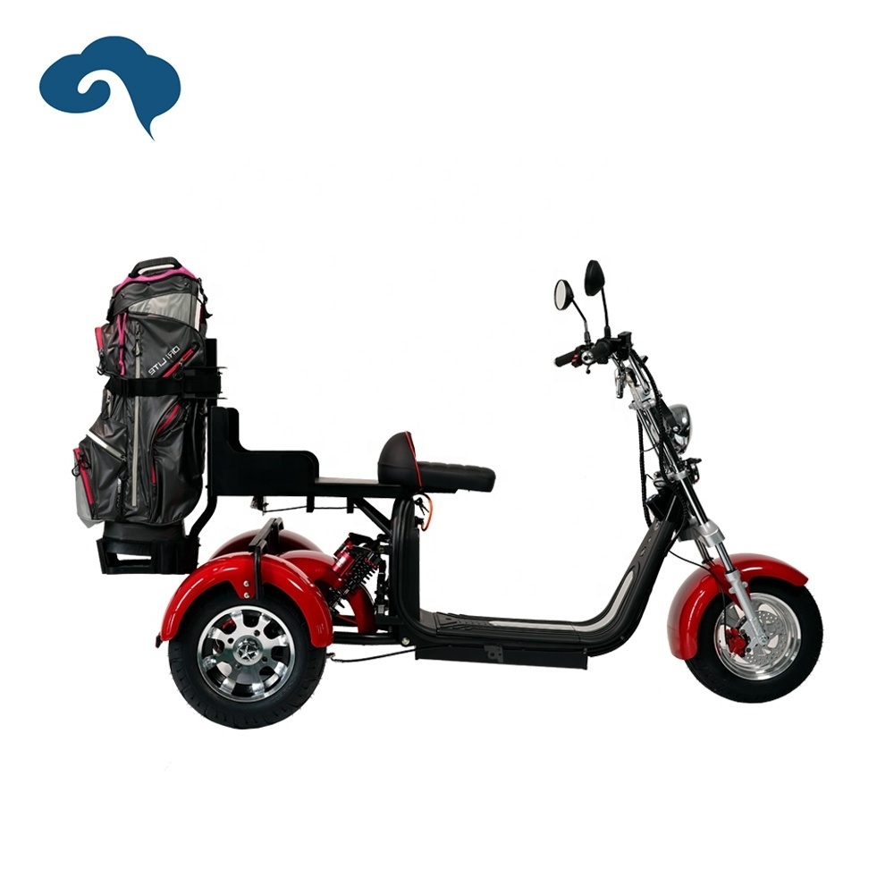 Hot Sale 2000W Electric Scooter Mobility Scooter 3 Wheel Buggy Club Car Golf Cart for Golf Course Golfing Needs