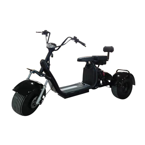 Top Selling Stylish Three Wheel Electric Scooters Citycoco Electric Moped 2000W with 20mph range