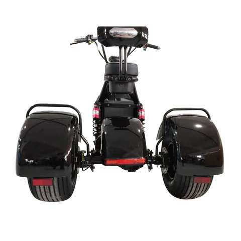 Top Selling Stylish Three Wheel Electric Scooters Citycoco Electric Moped 2000W with 20mph range