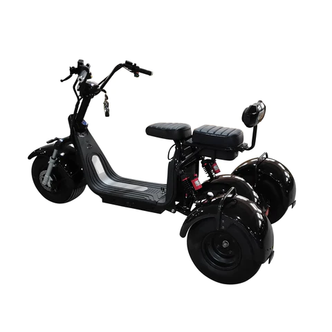 Top Selling Stylish Three Wheel Electric Scooters Citycoco Electric Moped 2000W with 20mph range