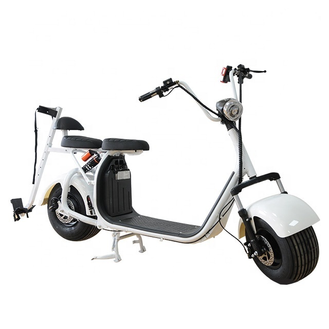 High Quality 1500W 2000W 60V 12Ah Citycoco Fat Tire Electric Scooter with Golf Racket for Golf Sport