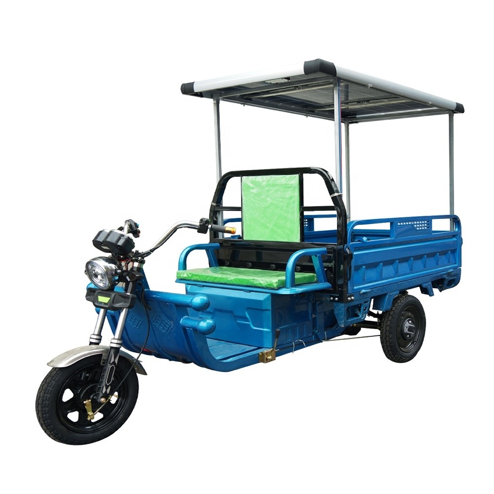 Solar Panel Green Energy Sun Power Inverter Electric Tricycle 3 Wheel Electric Cargo Bike