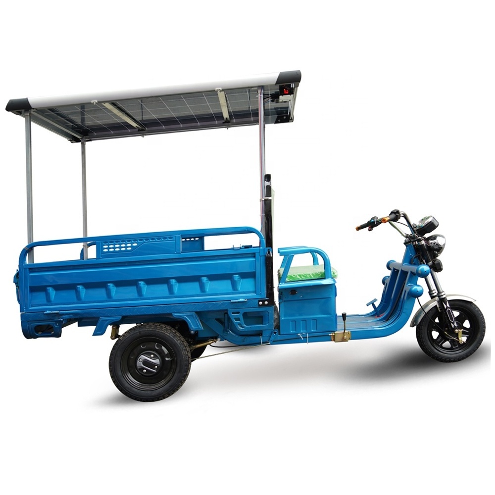 Solar Panel Green Energy Sun Power Inverter Electric Tricycle 3 Wheel Electric Cargo Bike