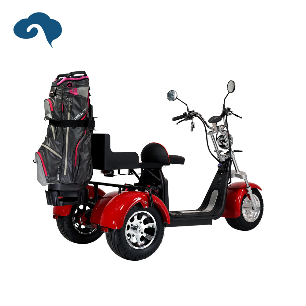 Hot Sale 2000W Electric Scooter Mobility Scooter 3 Wheel Buggy Club Car Golf Cart for Golf Course Golfing Needs